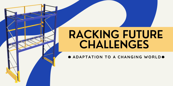 The RACKING future challenges : adapting to a changing world